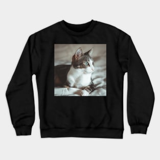 Noa I Crewneck Sweatshirt